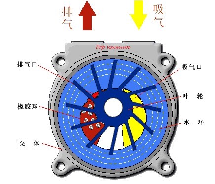 2BV型水环式真空泵及压缩机工作原理图