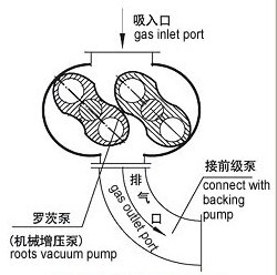 ZJ系列罗茨真空泵的原理图